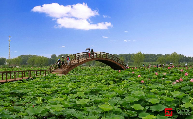 白洋淀團(tuán)建