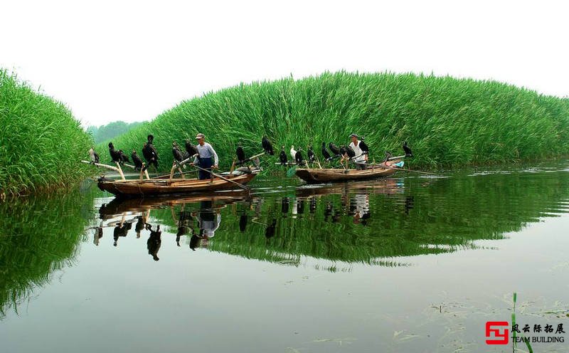 白洋淀團(tuán)建